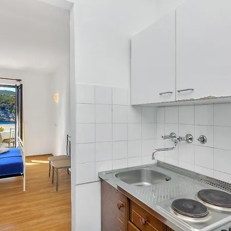 Apartment Igor Gdinj